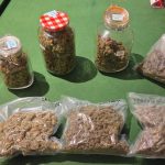 National Police Denia drug arrests