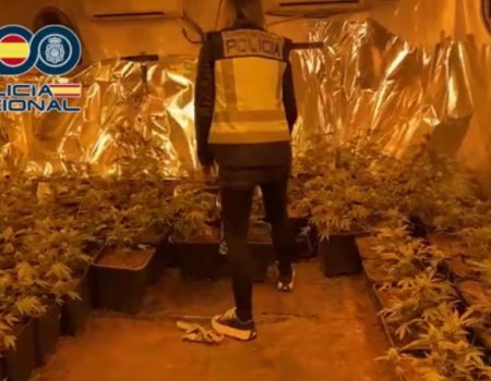 National Police Pedreguer drug arrests