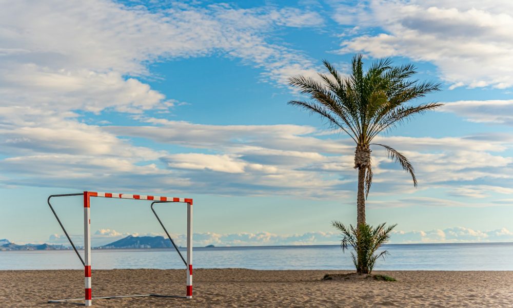 a palm tree on a beach next to a goal