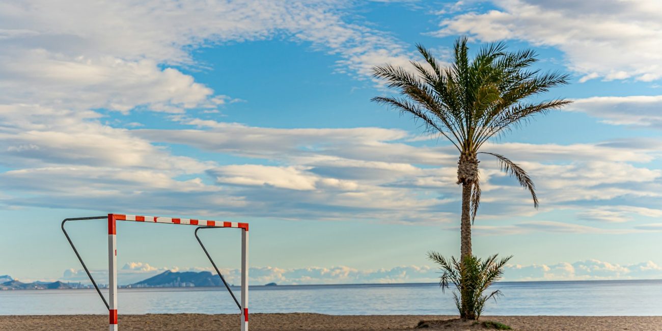 a palm tree on a beach next to a goal