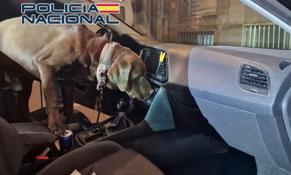 National Police benidorm drugs