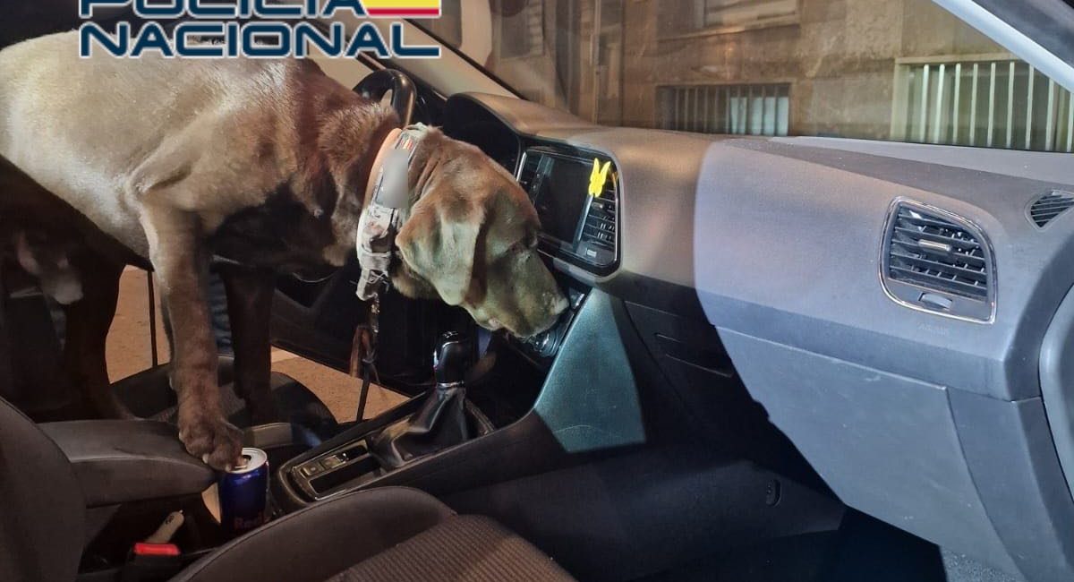 National Police benidorm drugs