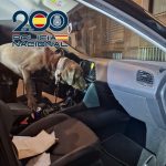 National Police benidorm drugs